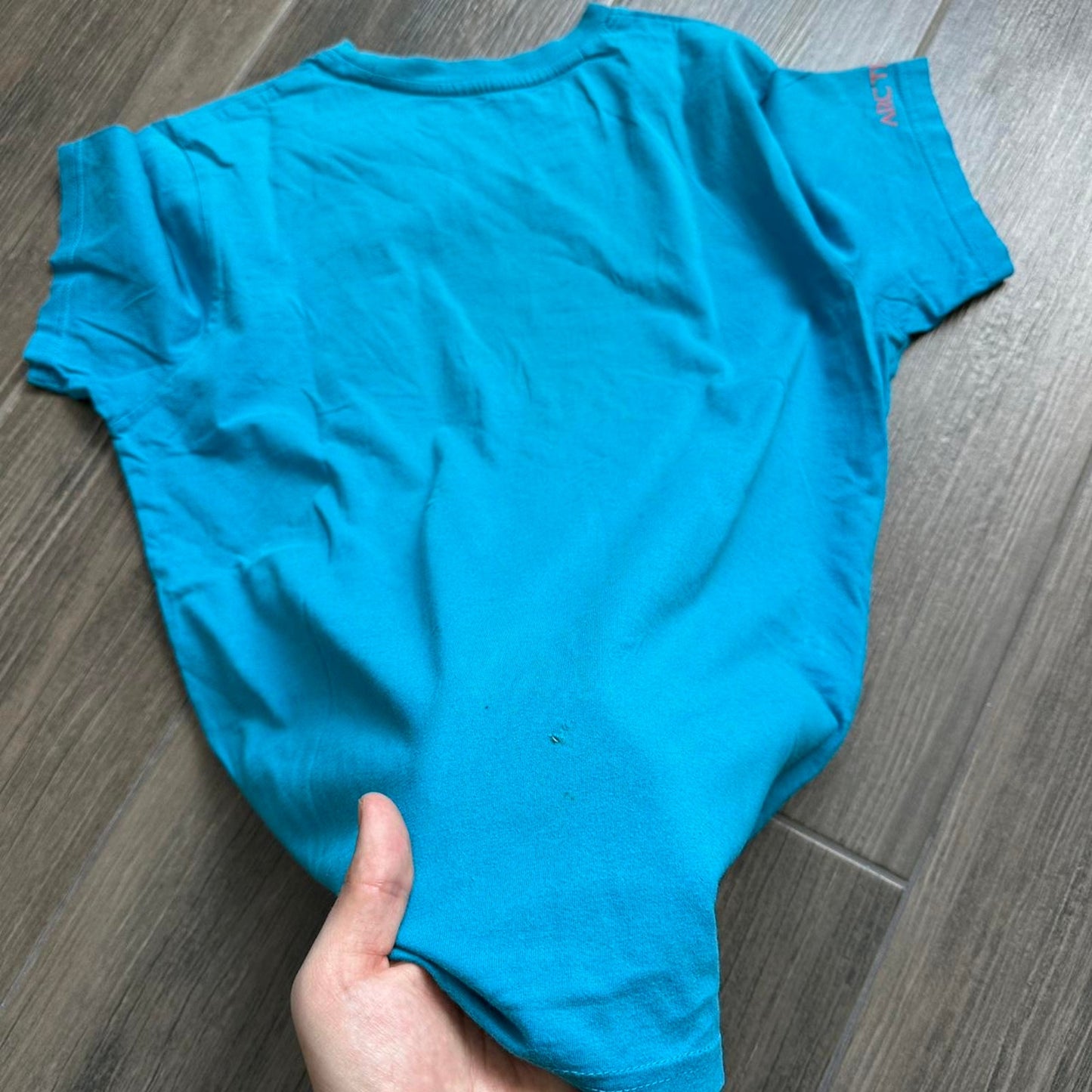 Arcteryx blue gorpcore tee