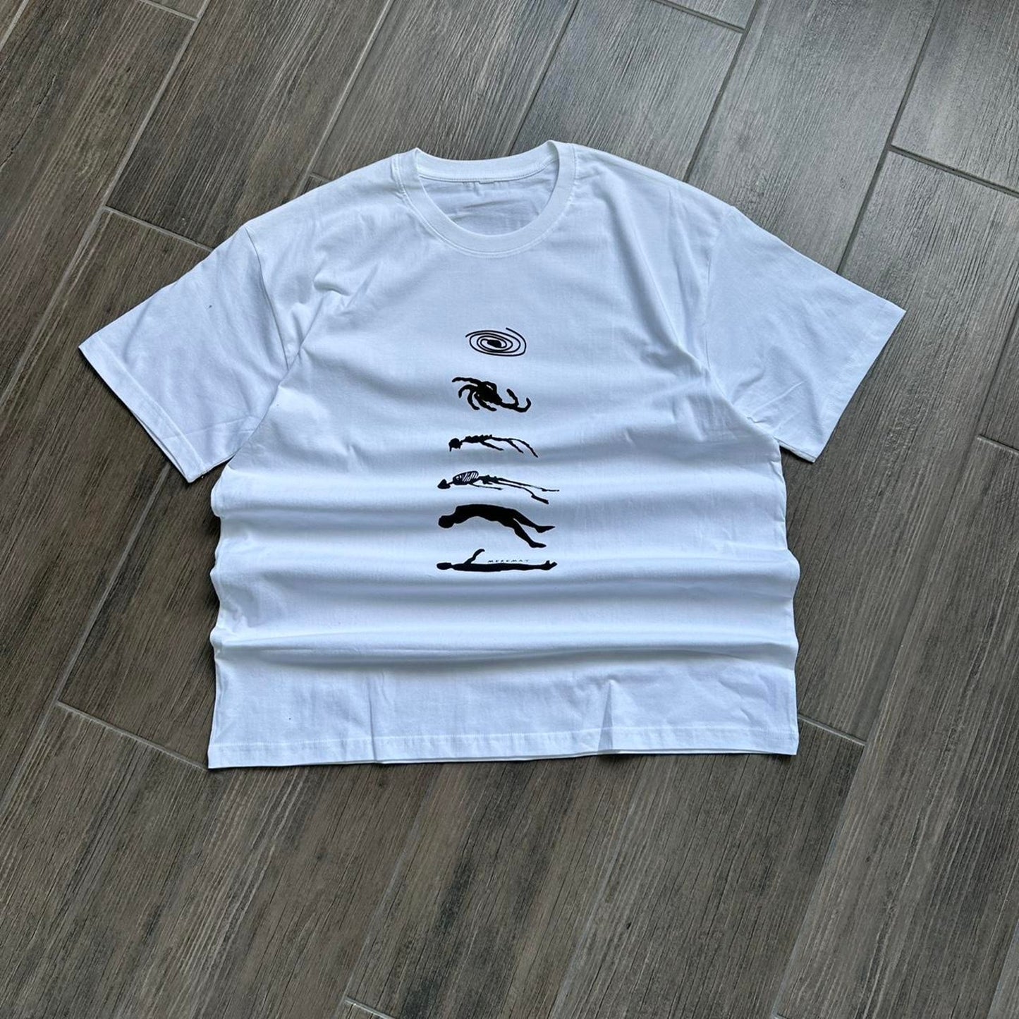 Human to universe evolution graphic