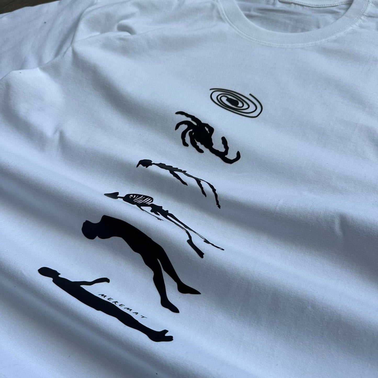 Human to universe evolution graphic