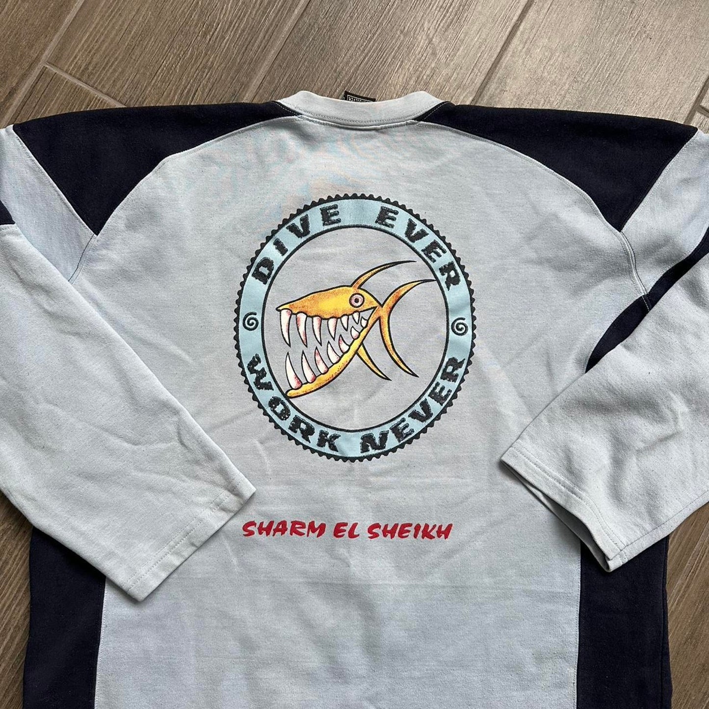 Quiksilver y2k vintage sweatshirt