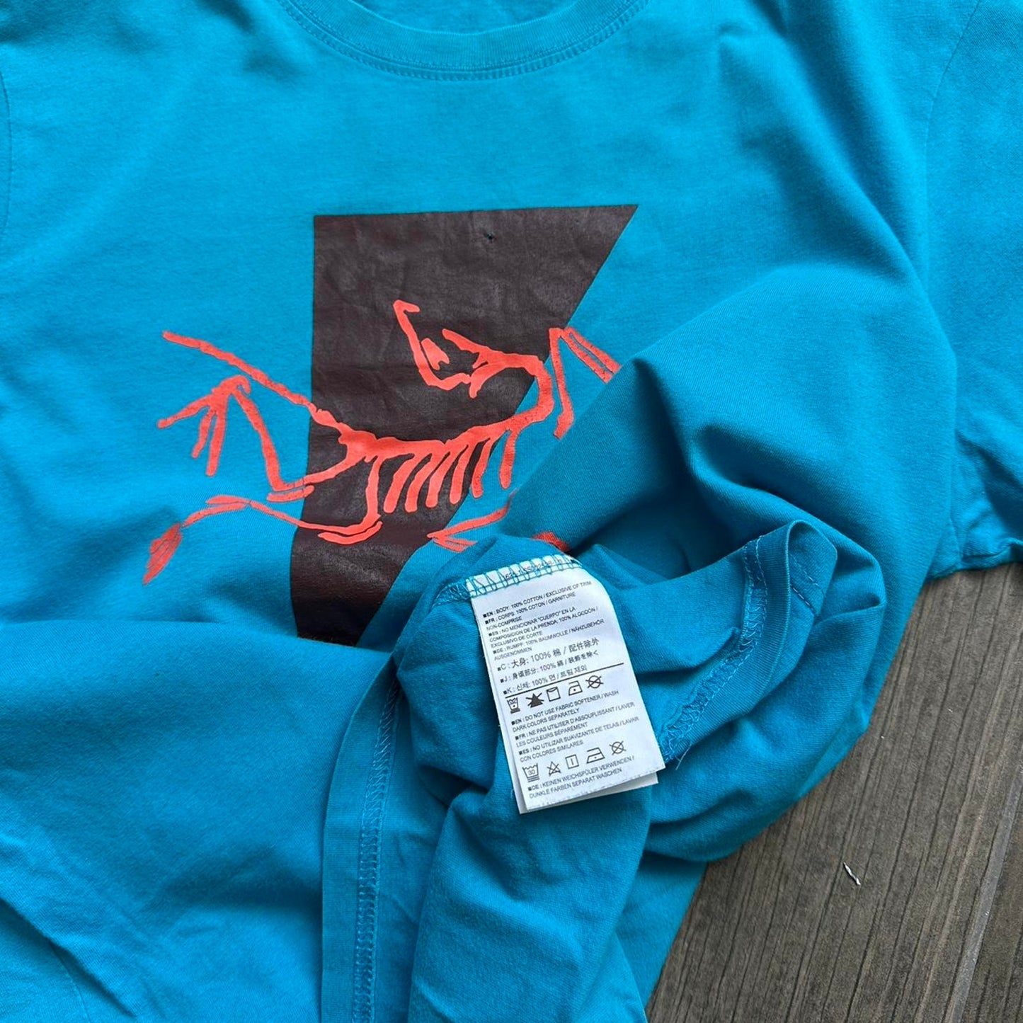 Arcteryx blue gorpcore tee