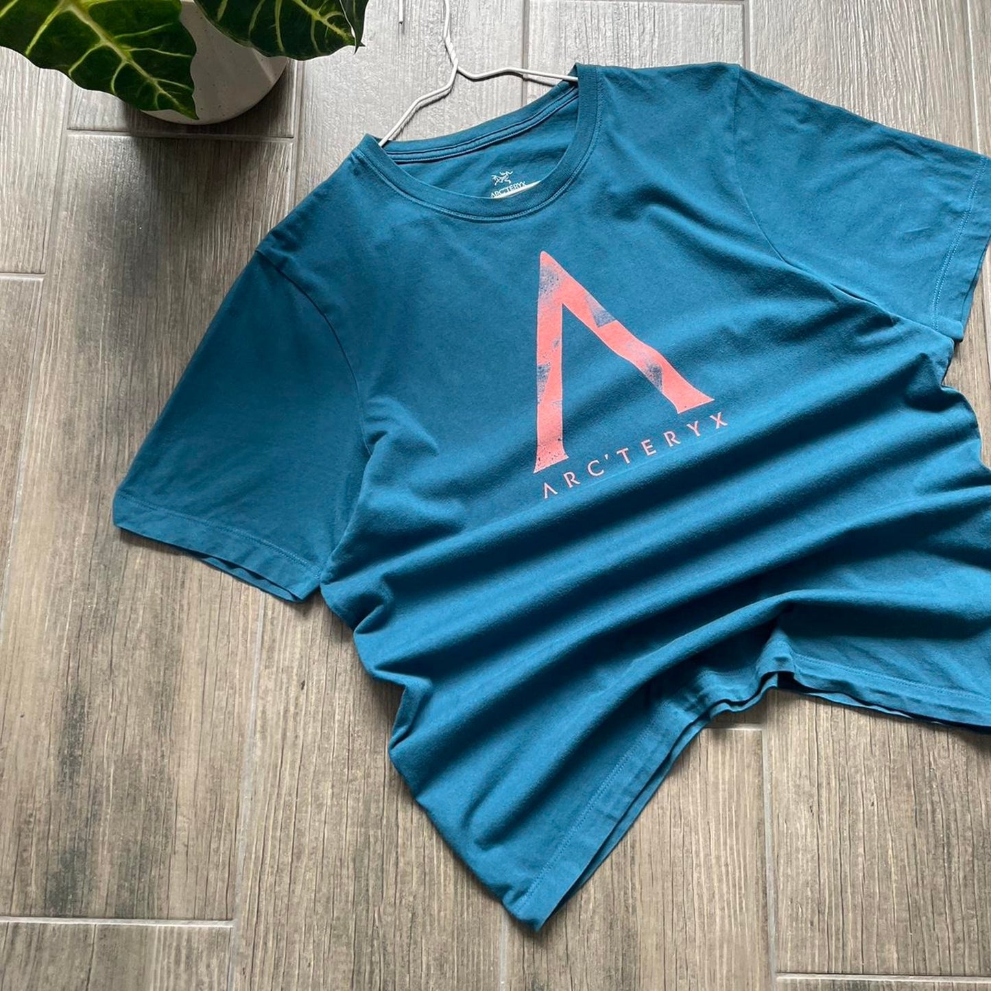 Arcteryx 100% authentic gorpcore polo tee