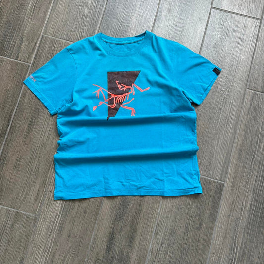 Arcteryx blue gorpcore tee