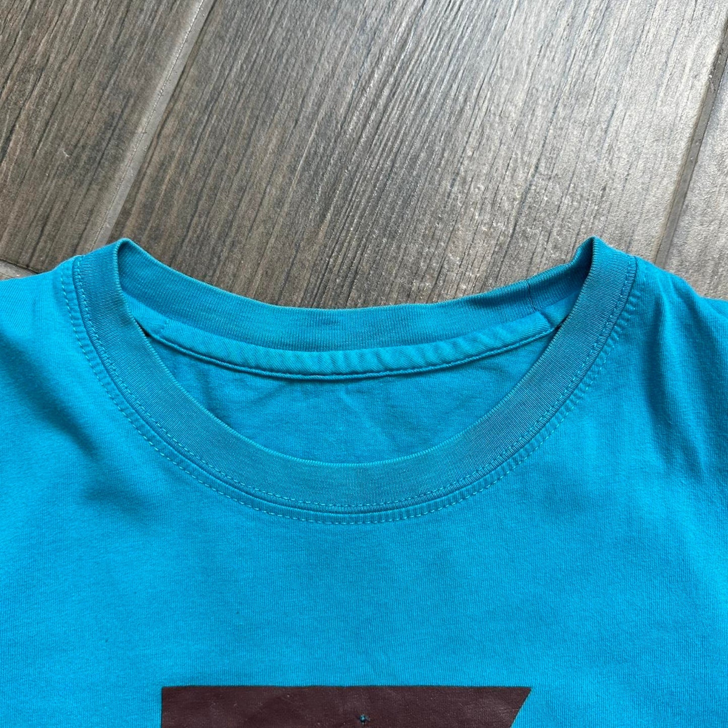 Arcteryx blue gorpcore tee