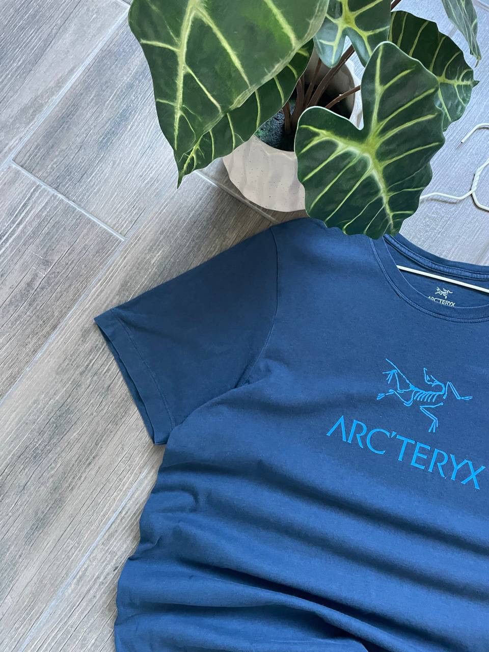 Arcteryx outdoor y2k baggy t-shirt