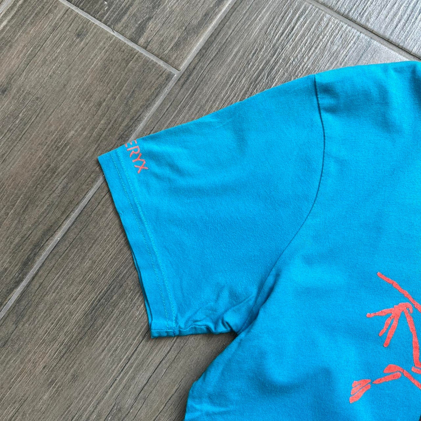 Arcteryx blue gorpcore tee