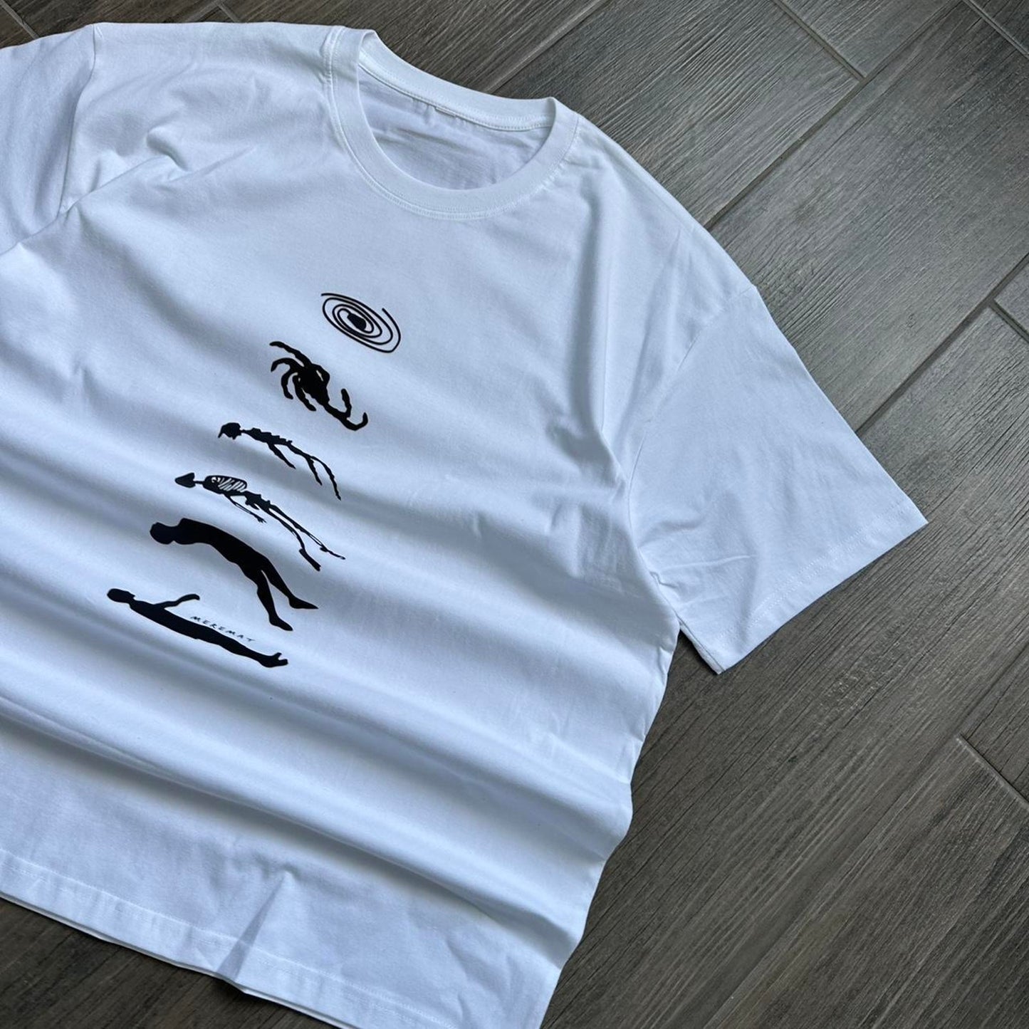 Human to universe evolution graphic